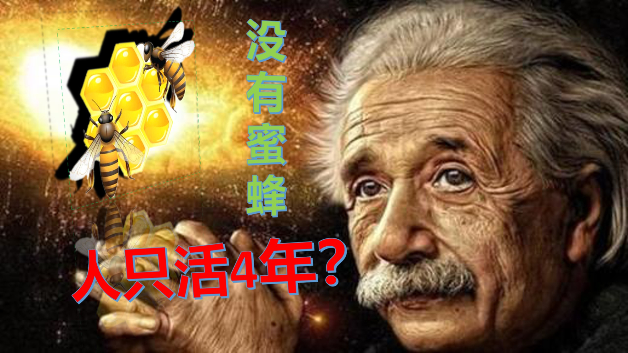 5分钟还原蜜蜂消失之谜,没有蜜蜂人类到底能活几年?